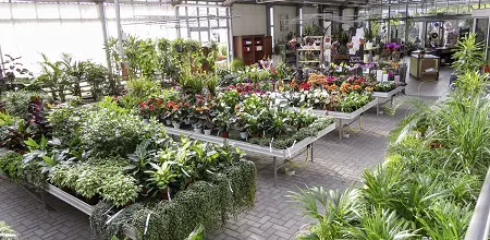 Im Einklang mit der Natur