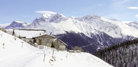 Zur Oberen Stilfser Alm