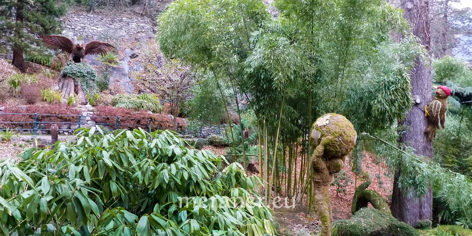 Der Bambus / Botanischer Spaziergang / Meraner Stadtanzeiger / die Zeitung  fr Meran in Sdtirol / Magazin, Wochenzeitung, Wochenblatt, Bezirkszeitung