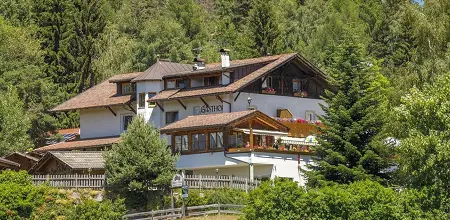 Der Gasthof „Zum Grünen Baum“