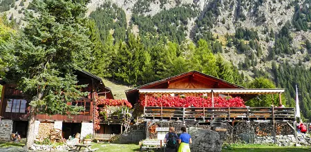 Hochmuth – Leiteralm – Vellau – Dorf Tirol