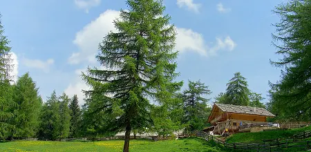 Rundwanderung am Tschögglberg