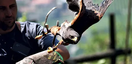 Auge in Auge Natur erleben