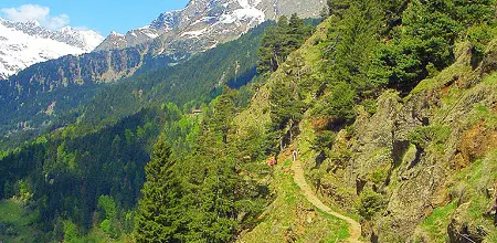Von Hochmuth über die Leiteralm nach Dorf Tirol