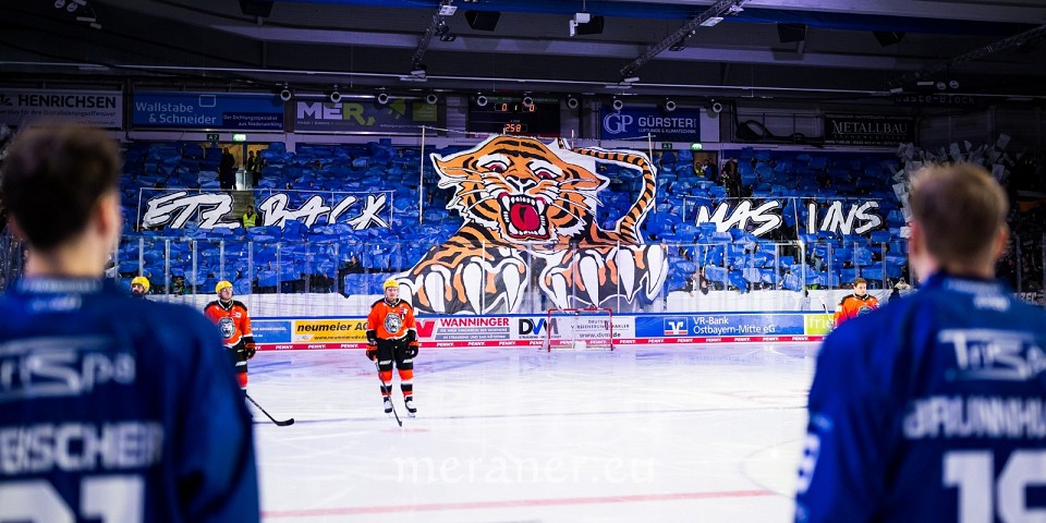Foto: über 5.000 Fans verfolgten durchschnittlich die Heimspiele der Straubing Tigers. Bildquelle: Straubing Tigers / Facebook