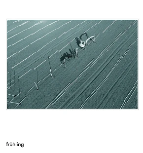 Fruehling