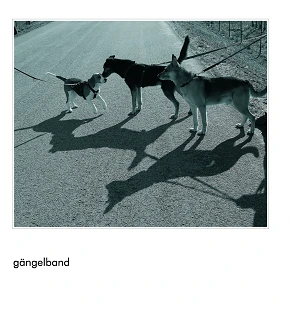 Gaengelband