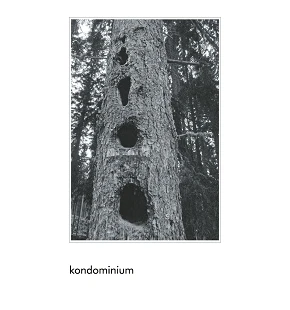 Kondominium