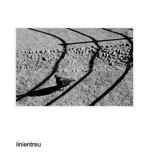 Linientreu