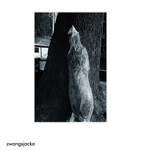 Zwangsjacke