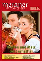 Meraner Stadtanzeiger 2013/13